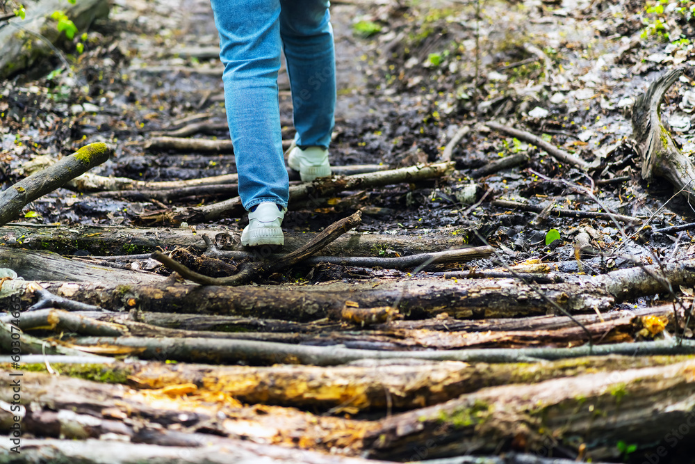 A person crosses a dirty place along the laid branches of trees A person crosses a dirty place along the laid branches of trees