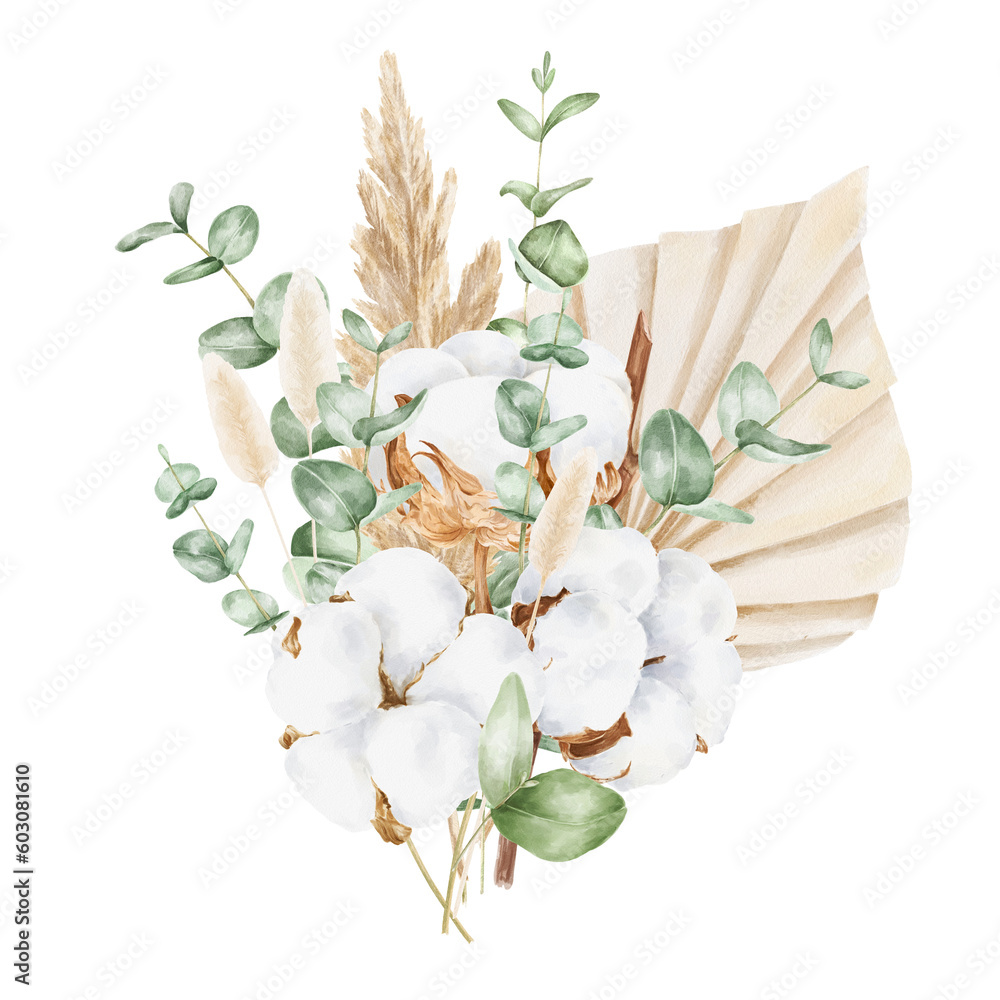 Cotton, eucalyptus and dried plants and flowers bouquet. Botanical illustration.