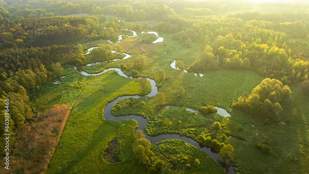 Beautiful spring morning over the forest and river - drone aerial view - obrazy, fototapety, plakaty 