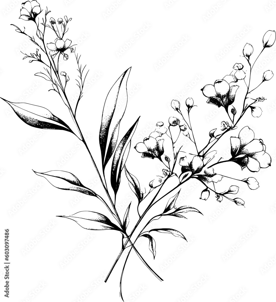 Naklejka premium Flowers Plant Line Art