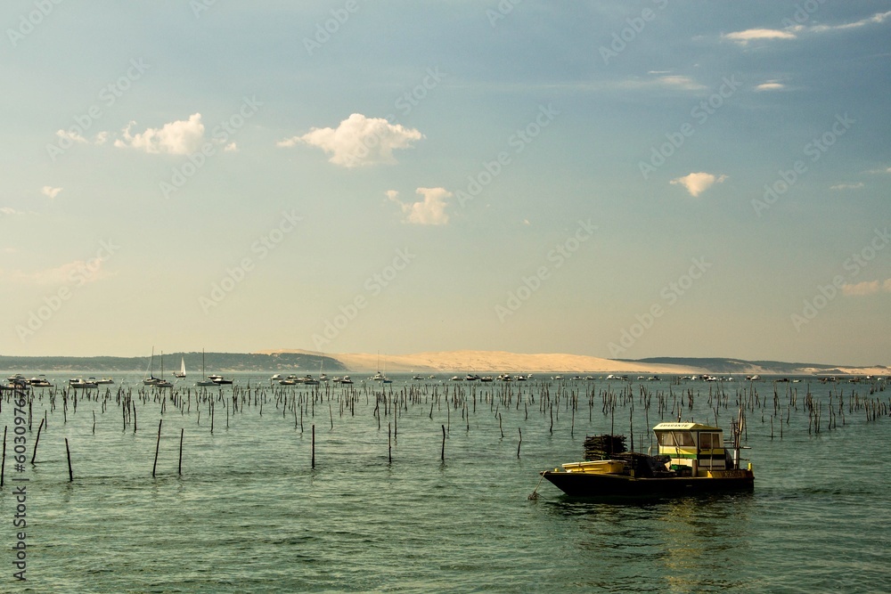 Bassin d'Arcachon Bassin d'Arcachon