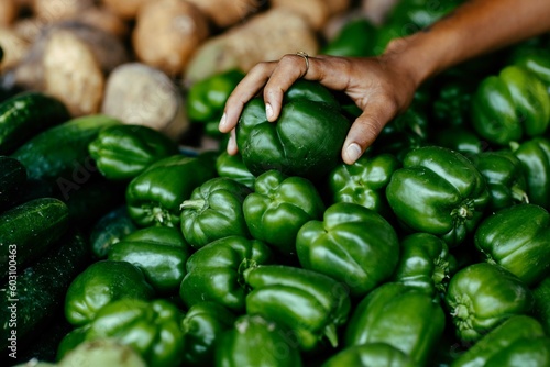 Green bell pepper photo