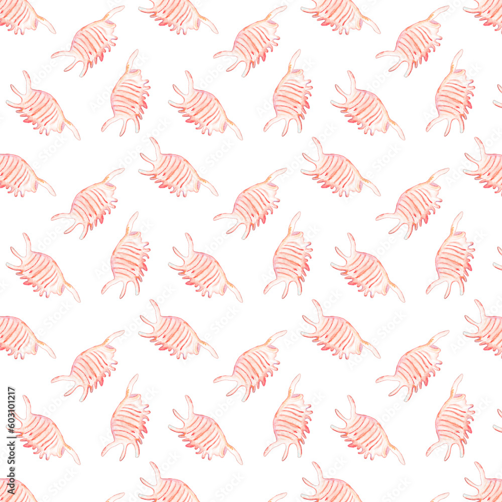 Watercolor set of sammer shell. Hand drawn pattern pink Shells on a white background. Use for banners posters texctiles cover wrapping paper