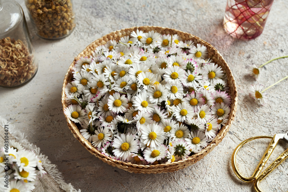 Common daisy flowers on a table Common daisy flowers on a table