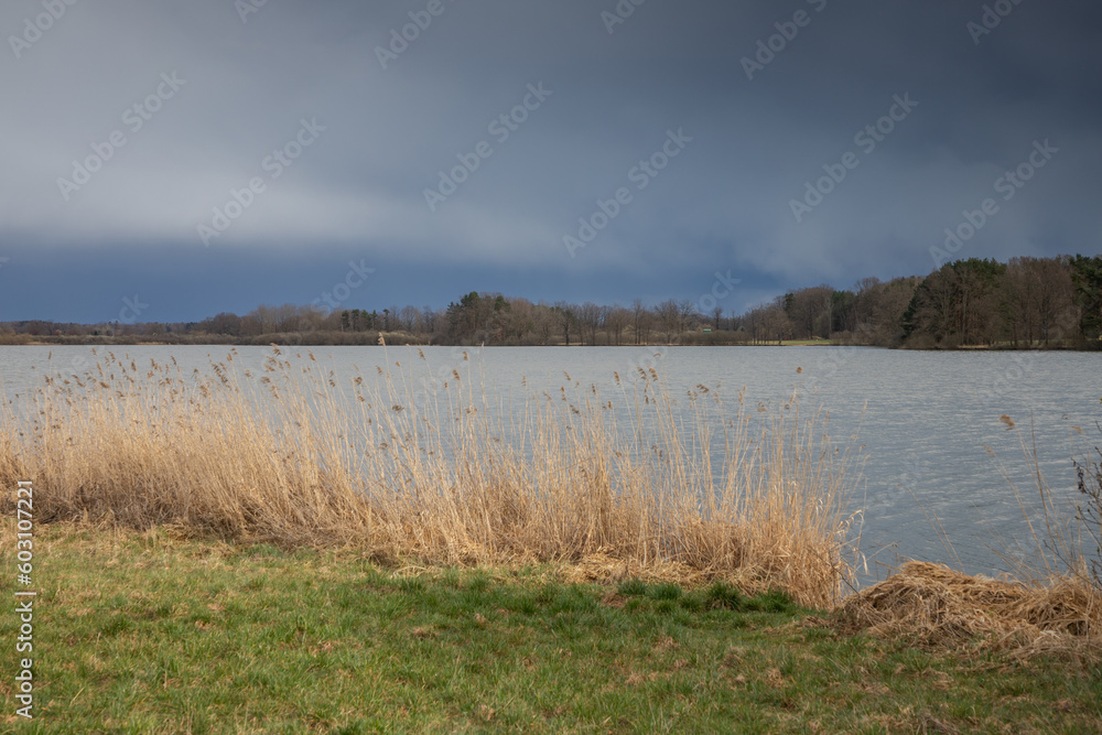 the spring sun shines on the surface and shore of the pond under heavy rain clouds