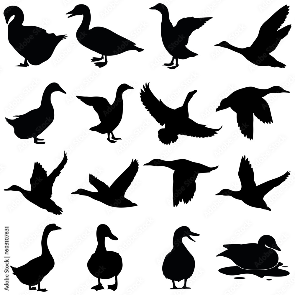  Set of 16 Duck Black Vector Silhouette Designs for Creative Projects