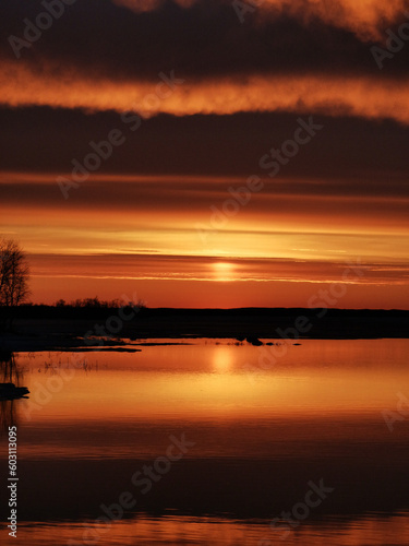 Wallpaper Mural Nature of the North Is Vibrant Even with the Sometimes Hars Conditions Torontodigital.ca