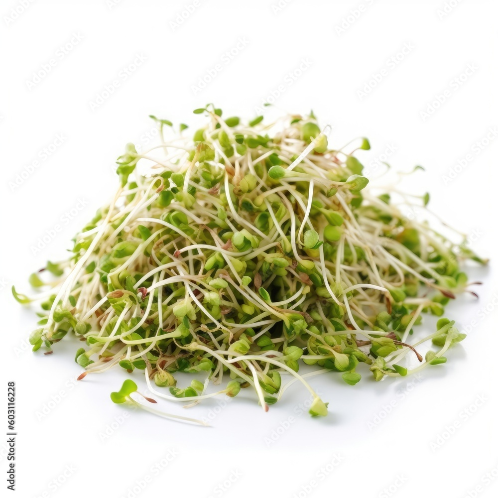 Alfalfa Sprouts isolated on white background (generative AI) Alfalfa Sprouts isolated on white background (generative AI)