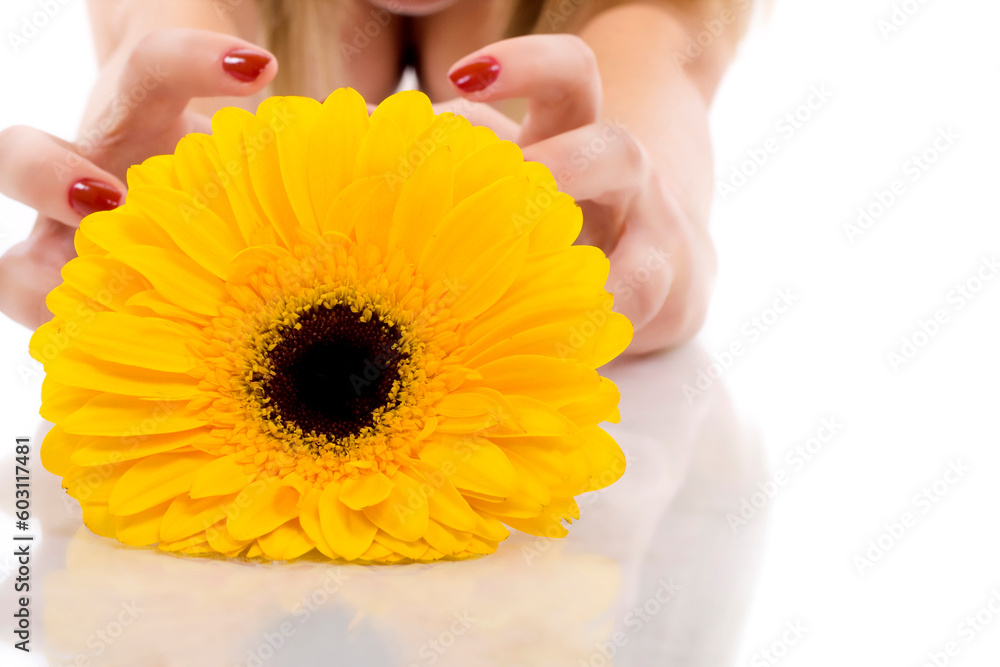 closeup picture of a flower and woman hands closeup picture of a flower and woman hands