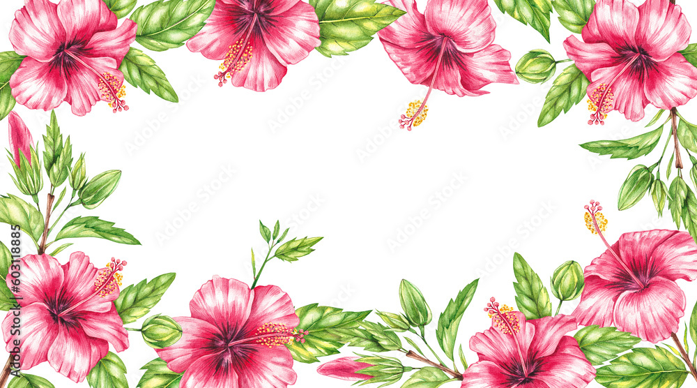 Rectangular watercolor frame of hibiscus flowers