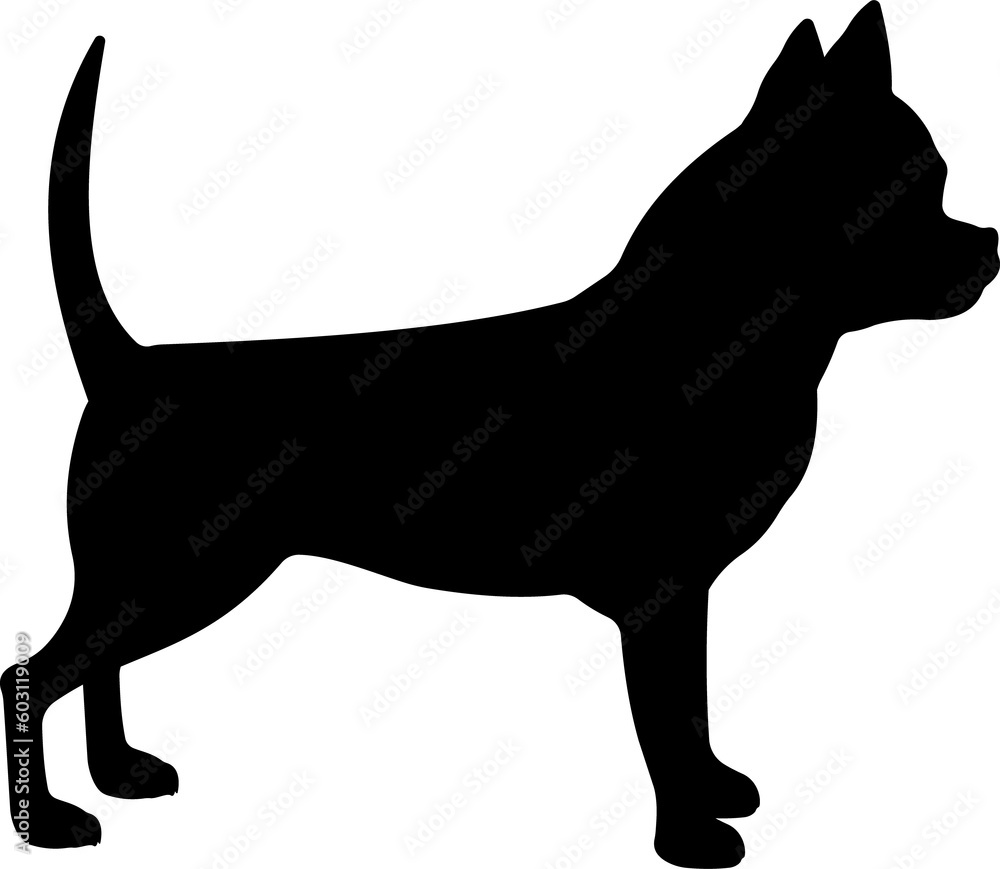 Dog breed illustration. Black silhouette Chihuahua Dog.