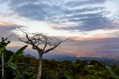 Irazu Volcano city tree  landscape in San Jose, Costa Rica  photo