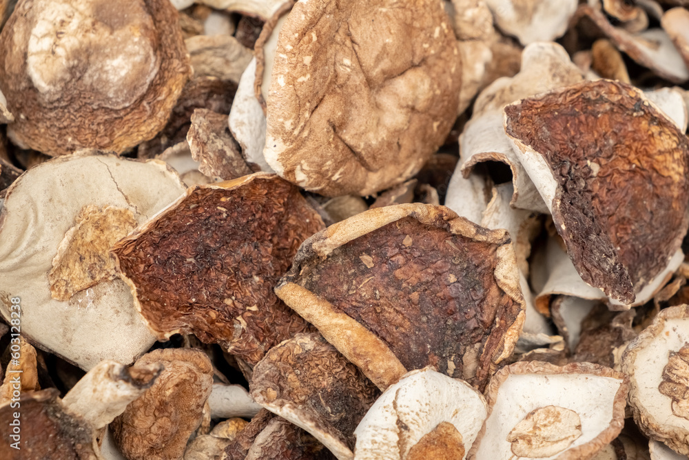 dried white mushrooms close-up, full frame dried white mushrooms close-up, full frame