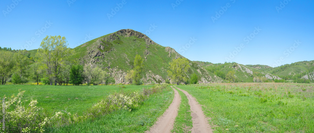 Beautiful hills covered with fresh spring greenery with a field road in the meadow.