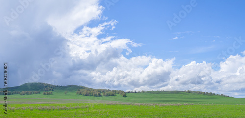Beautiful hills covered with fresh greenery with shadows from cumulus clouds against a blue sky.