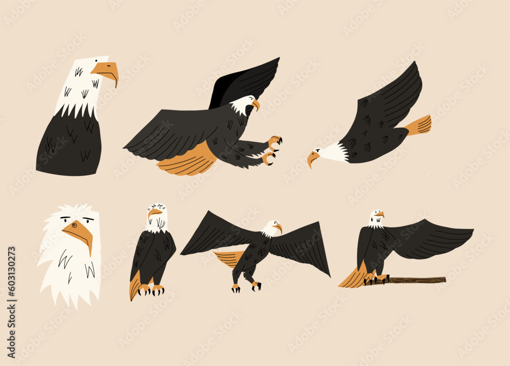 Set in different poses of a bald eagle. Vector illustration in hand drawn style