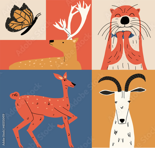 Photography Set of various wild animals
