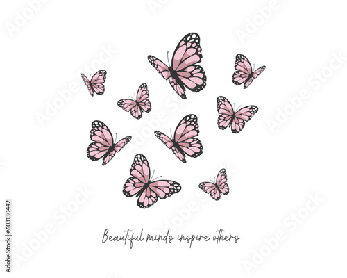 butterflies and flowers photo