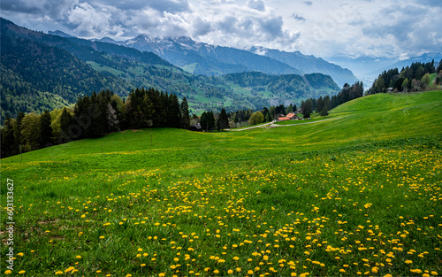 Meadow with dandelions. Landscape of yellow flowers, trees, mountain, trail and clouds.