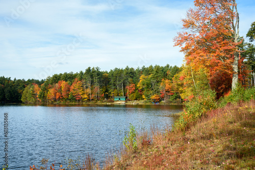 Beautiful lake surrounded by a dense forest in autumn. A holiday cabin is visible among the trees along the shore of the lake.
