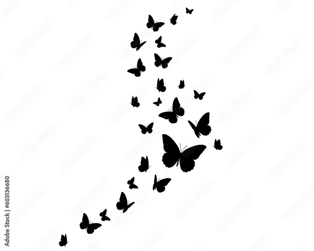 black butterfly hand drawn design black butterfly hand drawn design