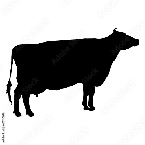 silhouette of a cow, cow, calf, black silhouette on a white background, farm, farm, nature, house, milk, factory, glade