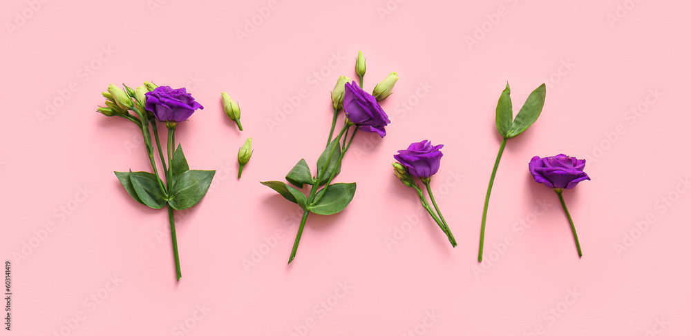 Beautiful eustoma flowers on pink background, top view