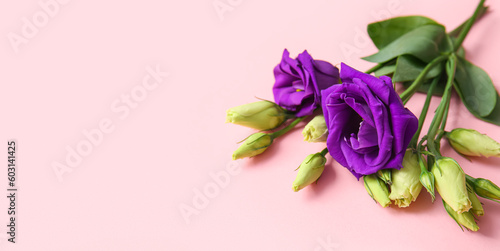 Beautiful eustoma flowers on pink background with space for text, closeup