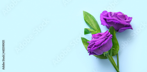 Beautiful eustoma flowers on light blue background with space for text