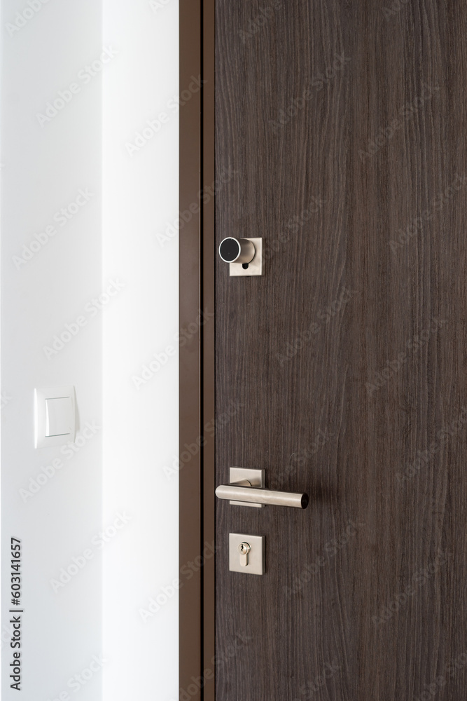 Modern home entrance with closed brown door Modern home entrance with closed brown door