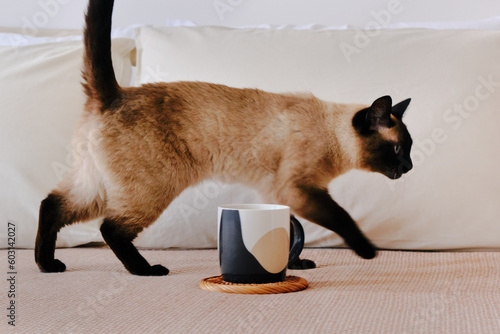 The cat runs on the bed next to a cup of coffee