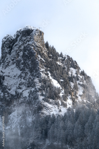 snow covered mountains