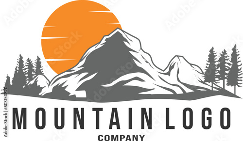 Mountain logo company vector logo. Adventures Icon mount.