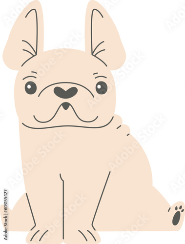 Sitting French Bulldog