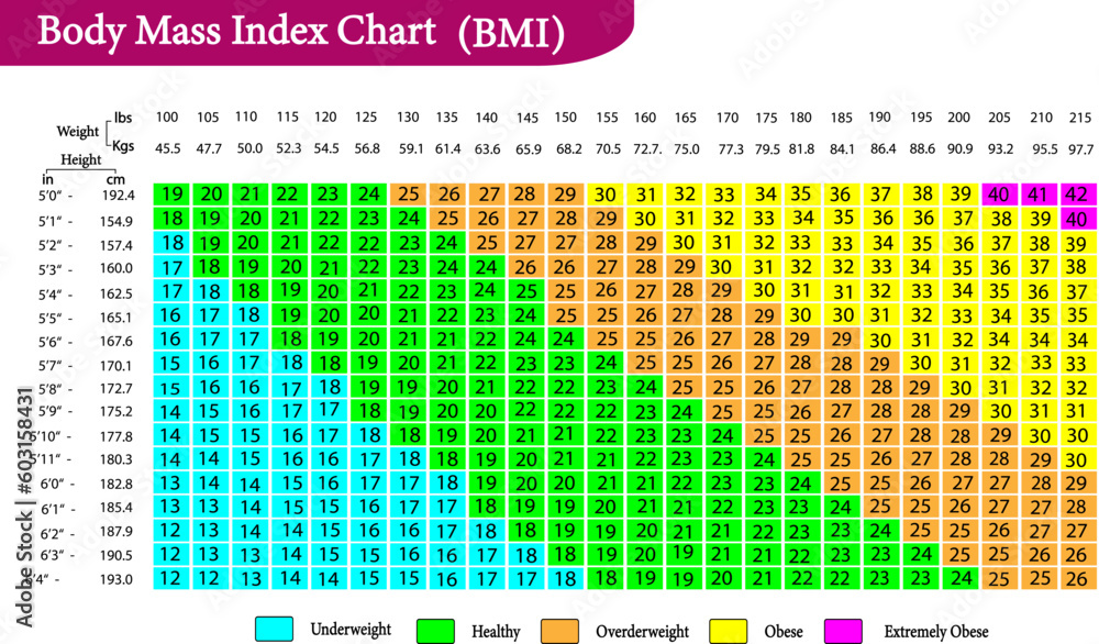Vector Illustration Of Body Mass Index BMI Chart Stock Vector Adobe 