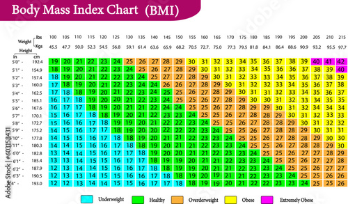 vector illustration of Body mass index (BMI) chart photo