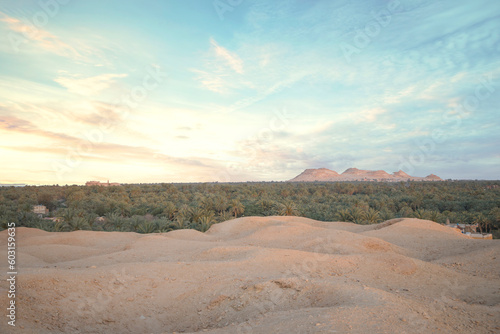 Beautiful view of the date grove from Gebel al-Mawta in Siwa Oasis, Egypt