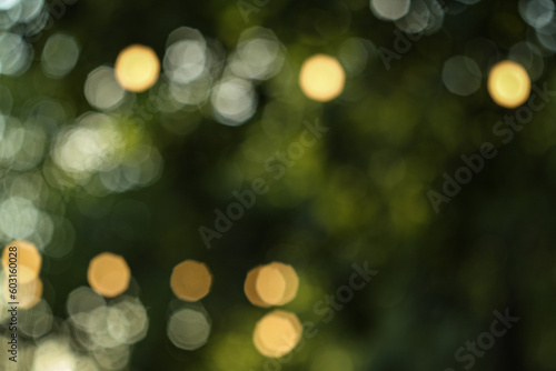 abstract christmas lights in the garden in Eastern Europe Ukraine Hungary 