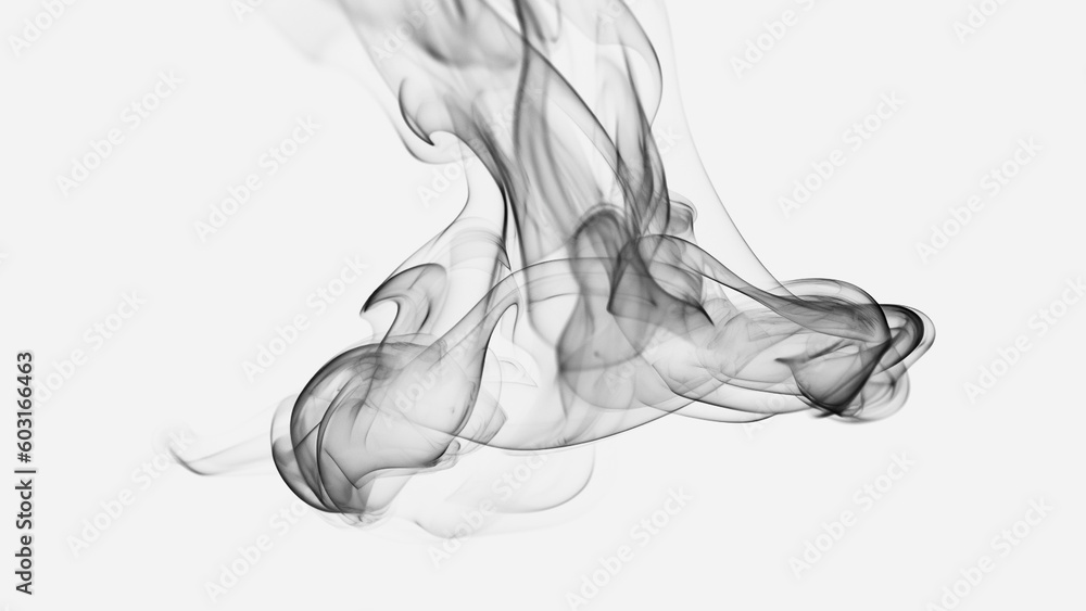 Fototapeta premium Abstract digital smoke on isolated background. Fog or steam texture overlays.