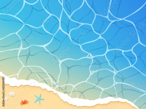 夏の海と砂浜、海の生き物のイメージ背景_ベクターイラスト