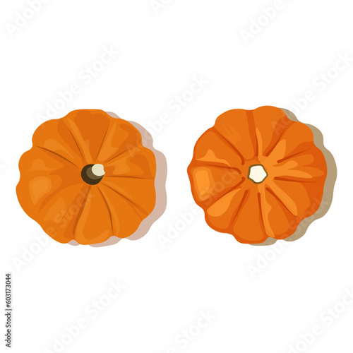pumpkins isolated on white background. Vector illustration. Top view. 