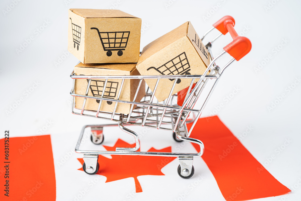 Box with shopping online cart logo and Canada flag, Import Export Shopping online or commerce finance delivery service store product shipping, trade, supplier concept.