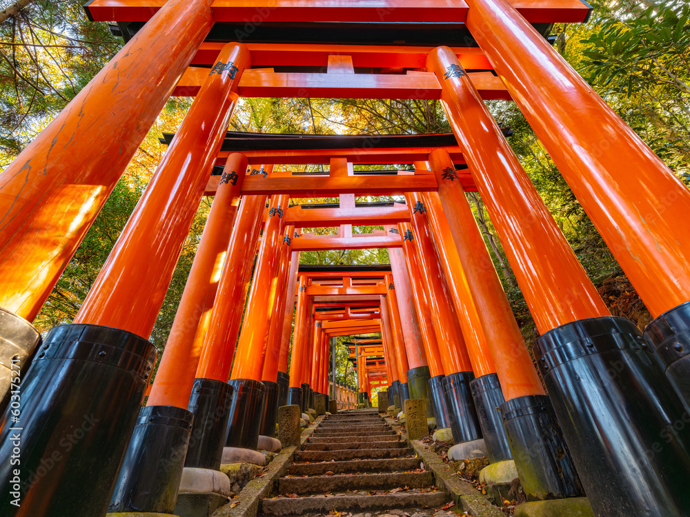 Dramatic view of walking in red gates Dramatic view of walking in red gates