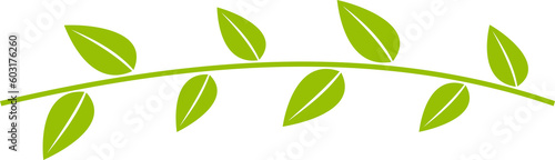 The leaf png image for eco or bio concept  © niphon