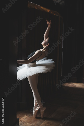 teenage ballet dancer posing in studio 