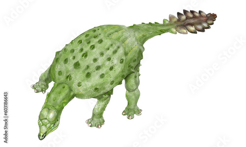 2018年に発見された白亜紀後期に生息していたと思われるアンキロサウルス科の変わり種。尾についた反撃用のハンマーの瘤は異様な形状であり、ノドサウルス科からアンキロサウルス科へ、あるいは、剣竜類への変化の途中のように思われる。 © Mineo