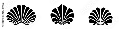 Shell vector icon set. Simple flat symbol on white background