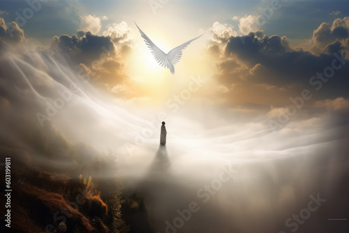 Photographie the angel will shine his wings on you, in the style of realistic depiction of li