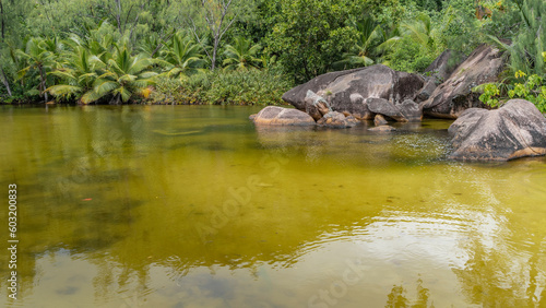 Granite boulders lie in a quiet river backwater. Lush tropical vegetation, palm trees on the shore. Reflection. Seychelles. Praslin.