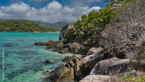 Palm trees grow on the rocky slope of a tropical island. The bottom is visible through the clear turquoise ocean water. Green hills against a background of blue sky and clouds. Seychelles.